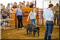 LCFAIR-081618-5397.jpg