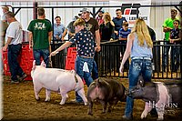 LCFAIR-081618-5398.jpg
