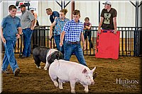 LCFAIR-081618-5489.jpg