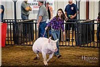 LCFAIR-081618-5491.jpg