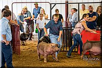 LCFAIR-081618-5493.jpg