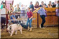 LCFAIR-081618-5496.jpg