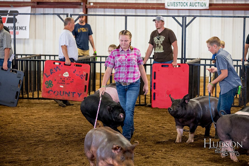 LCFAIR-081618-5571.jpg