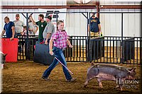 LCFAIR-081618-5563.jpg