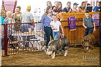 LCFAIR-081618-5564.jpg