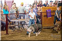 LCFAIR-081618-5565.jpg