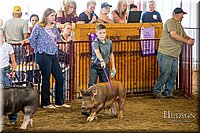 LCFAIR-081618-5566.jpg