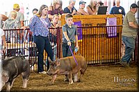 LCFAIR-081618-5567.jpg
