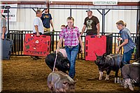 LCFAIR-081618-5571.jpg
