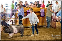 LCFAIR-081618-5649.jpg