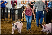LCFAIR-081618-5656.jpg