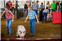 LCFAIR-081618-5658.jpg