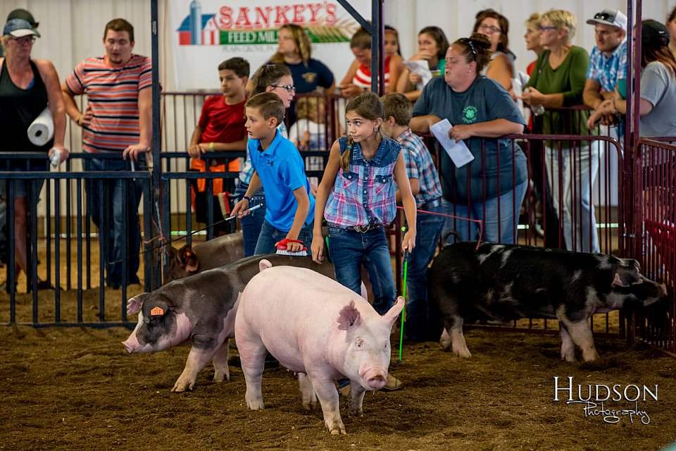 LCFAIR-081618-5752.jpg
