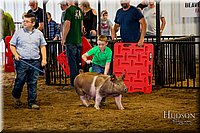 LCFAIR-081618-5741.jpg