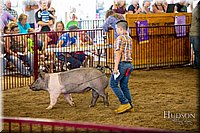 LCFAIR-081618-5744.jpg