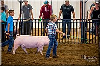 LCFAIR-081618-5749.jpg