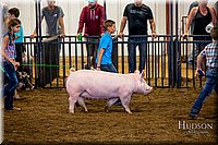 LCFAIR-081618-5750.jpg