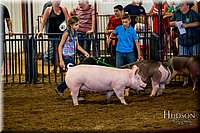 LCFAIR-081618-5751.jpg