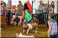 LCFAIR-081618-5804.jpg