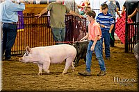 LCFAIR-081618-5815.jpg