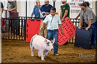LCFAIR-081618-5817.jpg