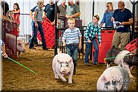 LCFAIR-081618-5820.jpg