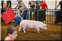 LCFAIR-081618-5824.jpg