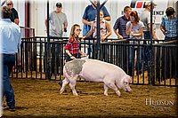 LCFAIR-081618-5880.jpg