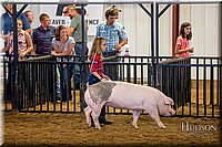 LCFAIR-081618-5882.jpg