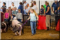 LCFAIR-081618-5888.jpg