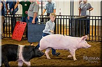 LCFAIR-081618-5890.jpg