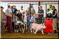 LCFAIR-081618-5892.jpg
