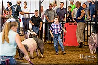 LCFAIR-081618-5894.jpg