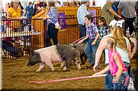 LCFAIR-081618-5895.jpg