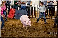 LCFAIR-081618-5898.jpg